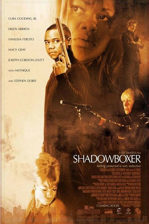 Largescale poster for Shadowboxer