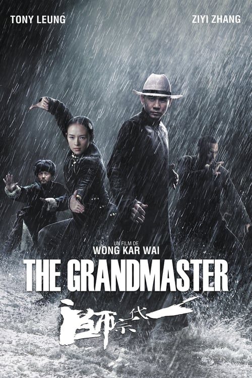 The Grandmaster (2013)