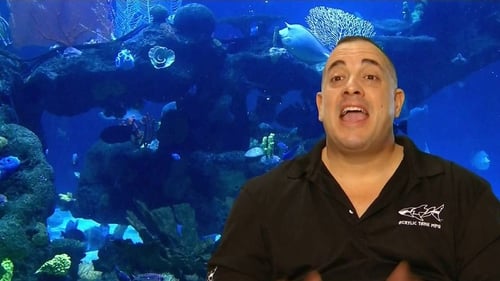 Poster della serie Tanked