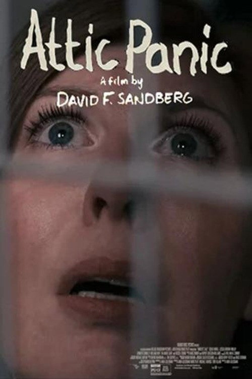 Attic Panic poster