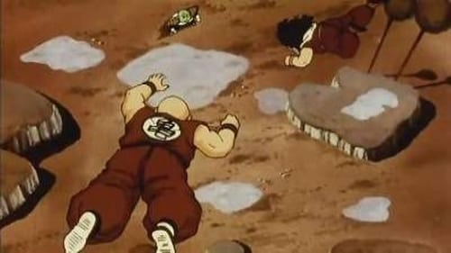 Dragon Ball Z: 2×24