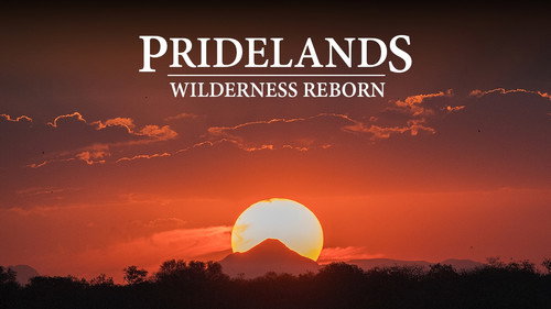 Pridelands: Wilderness Reborn - Season 1 Backdrop Blur