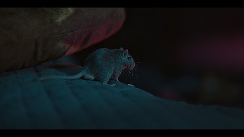 trailer-preview