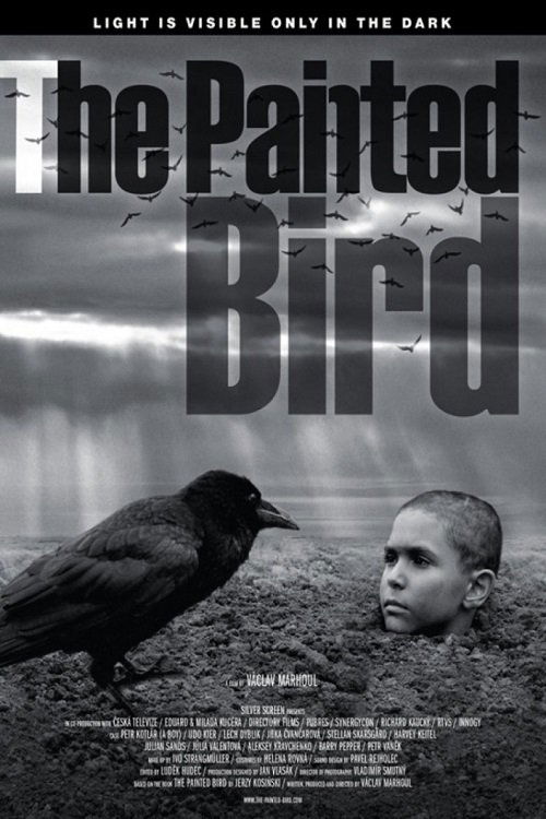 The Painted Bird Film Complet Streaming