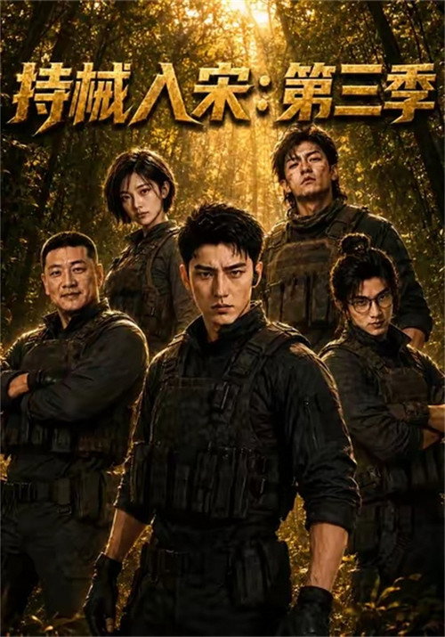 持械入宋 poster