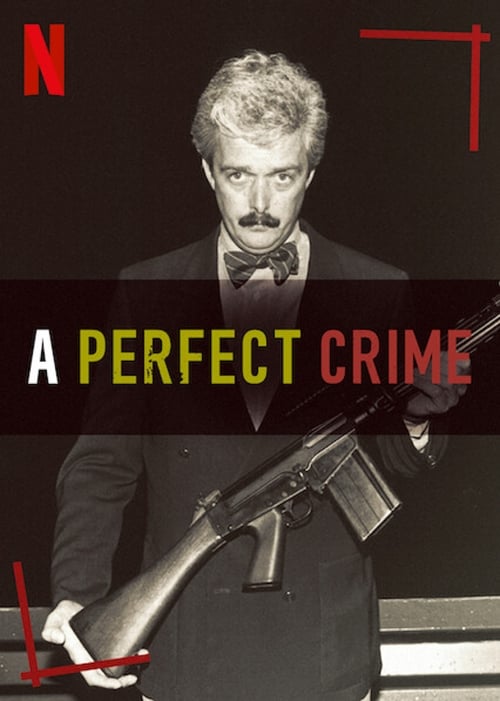 Poster A Perfect Crime