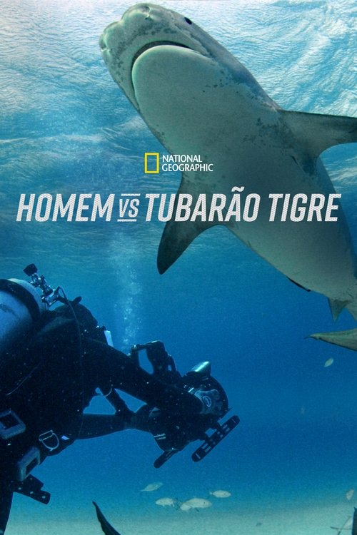 Pôster de Homem vs Tubarão Tigre
