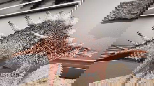 Image de l'épisode 18