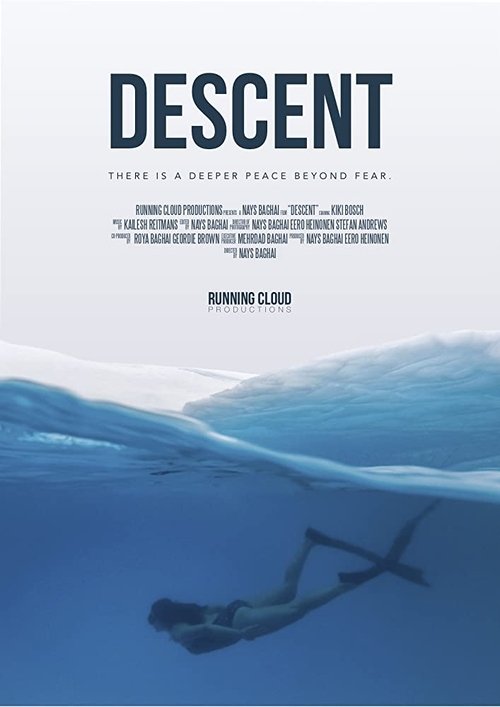 Descent 2020