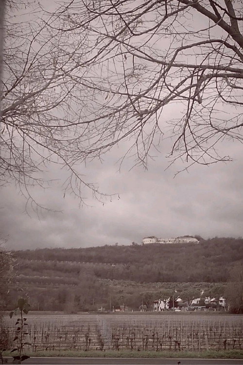 The Road, Chapter 1: Winter