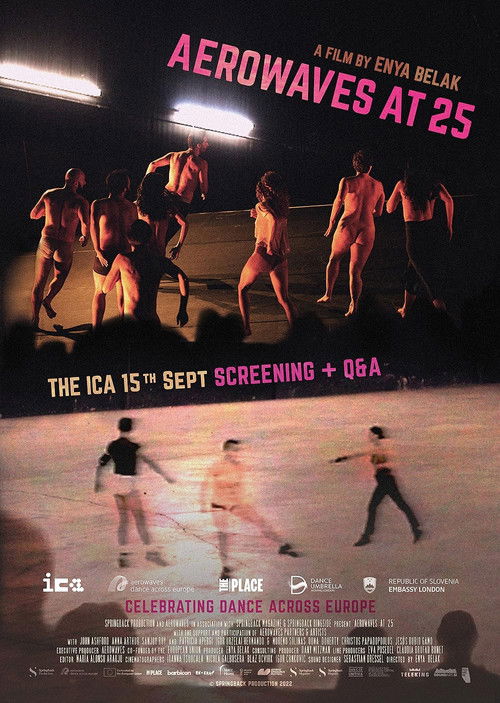 Aerowaves at 25 poster