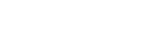 The Charge of the Light Brigade