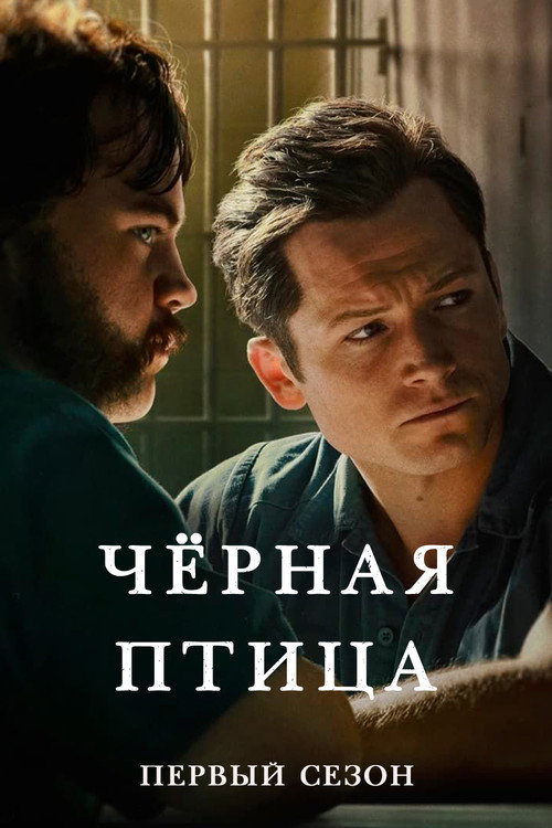 Постер 1 сезона сериала Черная птица