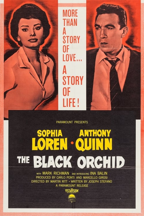The Black Orchid Movie Poster Image