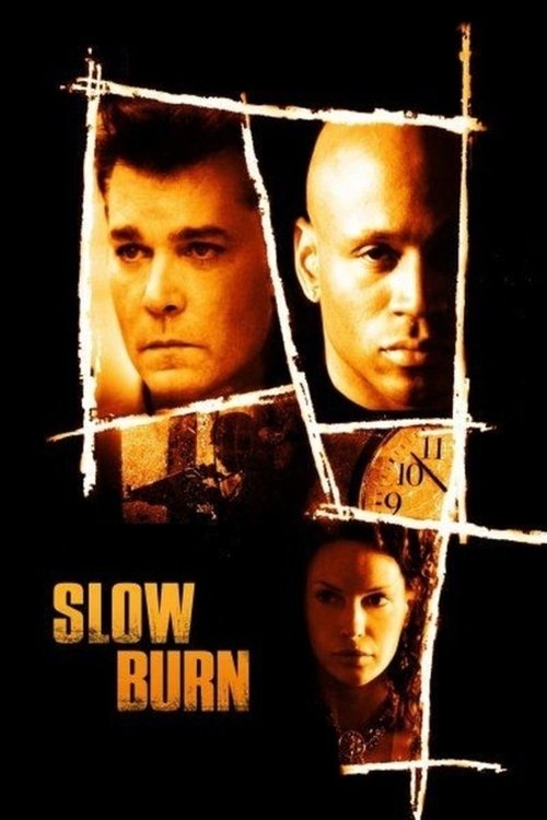 Slow Burn poster