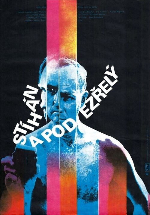 Stíhán a podezřelý 1979