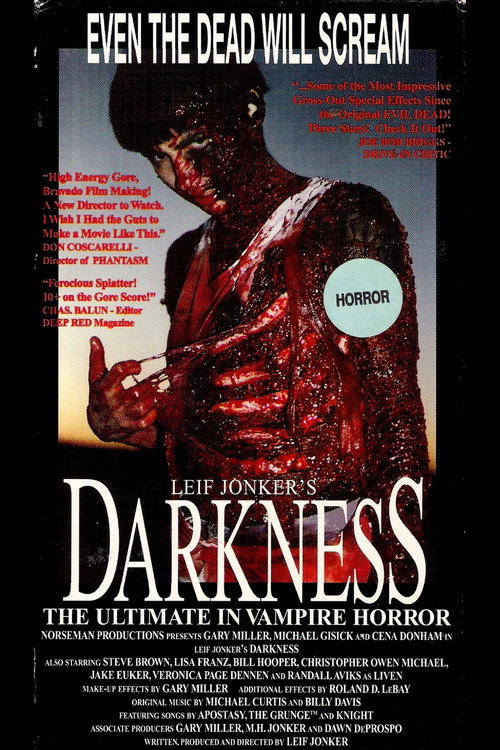 Darkness poster