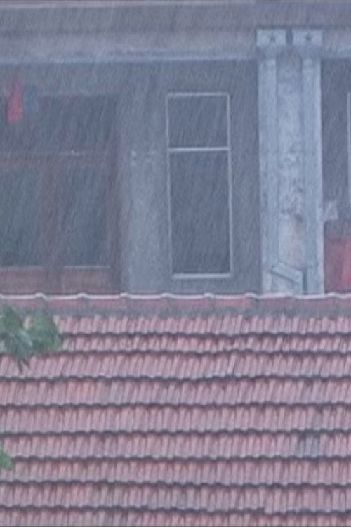 The Rain in a New Place