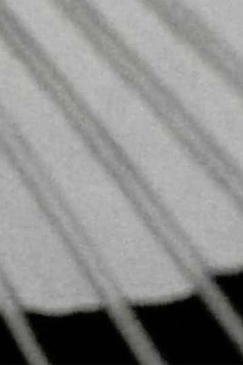 Untitled (Umbrella)