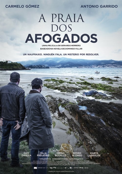 Poster A praia dos afogados 2015