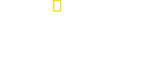 Becoming Cousteau