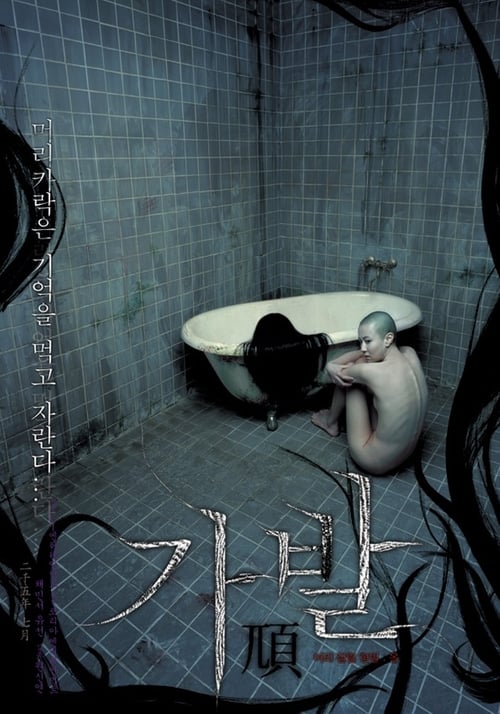 가발 (2005) poster