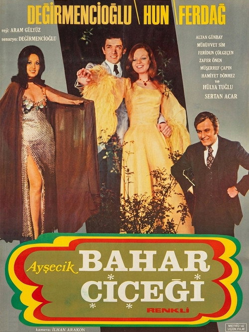 Póster oficial de Ayşecik: Bahar Çiçeği (1971)