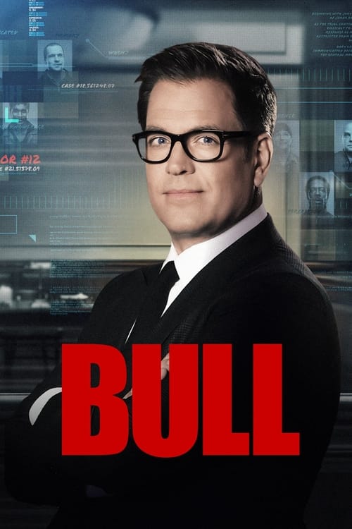 Where to stream Bull