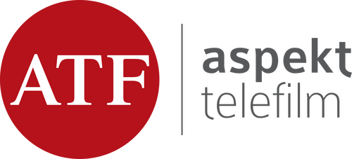 Aspekt Telefilm