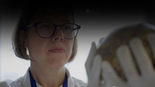 Neanderthals vs Sapiens: Two of a Kind