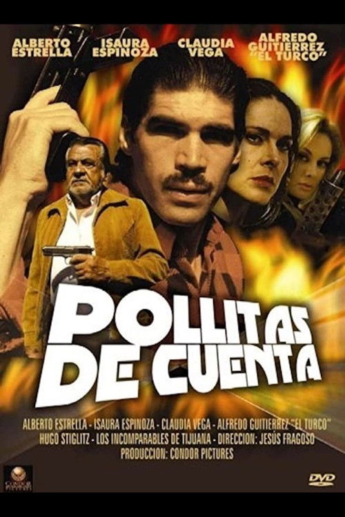 Pollitas de cuenta (1999) poster