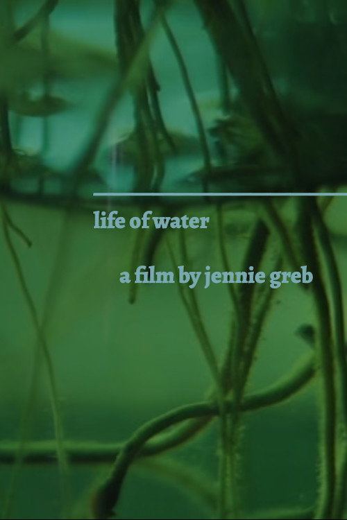 The Life of Water