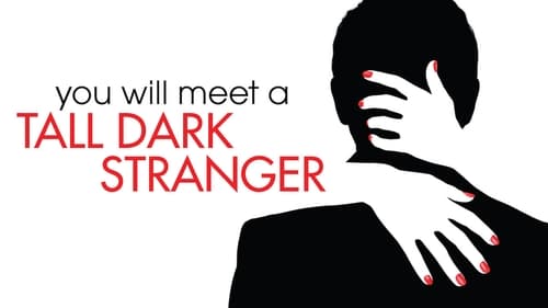 You Will Meet a Tall Dark Stranger -  - Azwaad Movie Database