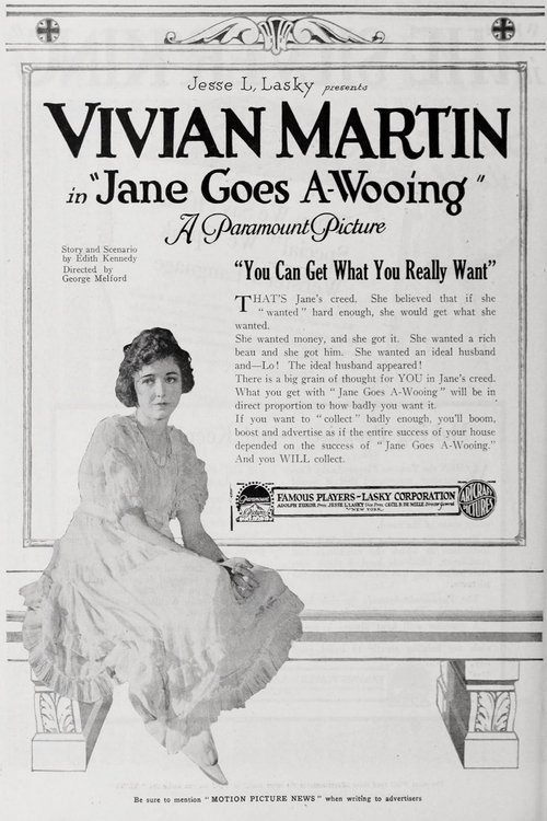 Jane Goes A-Wooing poster