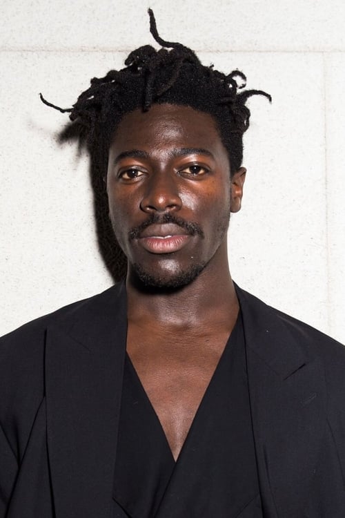 Foto de perfil de Moses Sumney