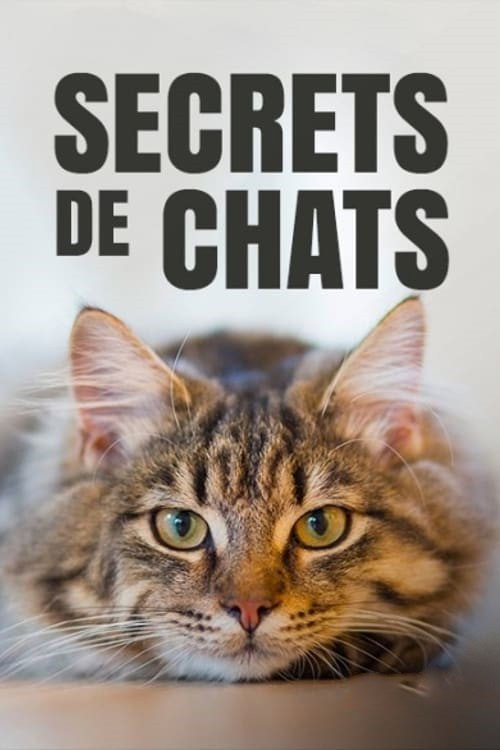 Image du film