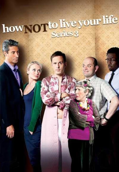 Where to stream How Not to Live Your Life Season 3