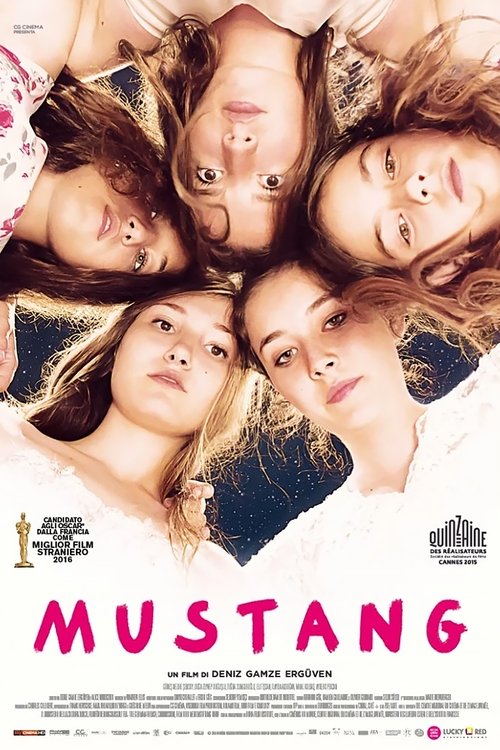 Mustang