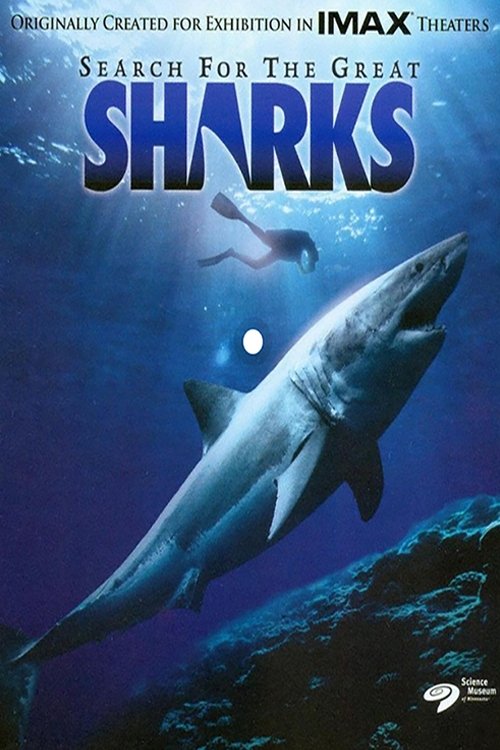 Search for the Great Sharks movie poster player
