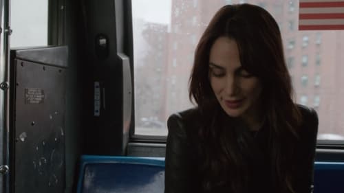 Pessoa de Interesse: 2×13