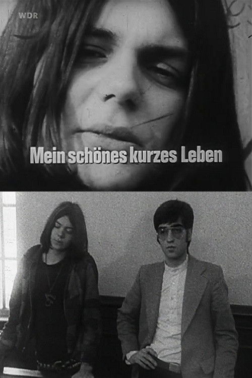 Mein schönes kurzes Leben poster