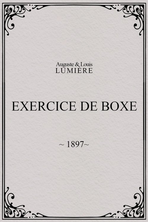 Exercice de boxe