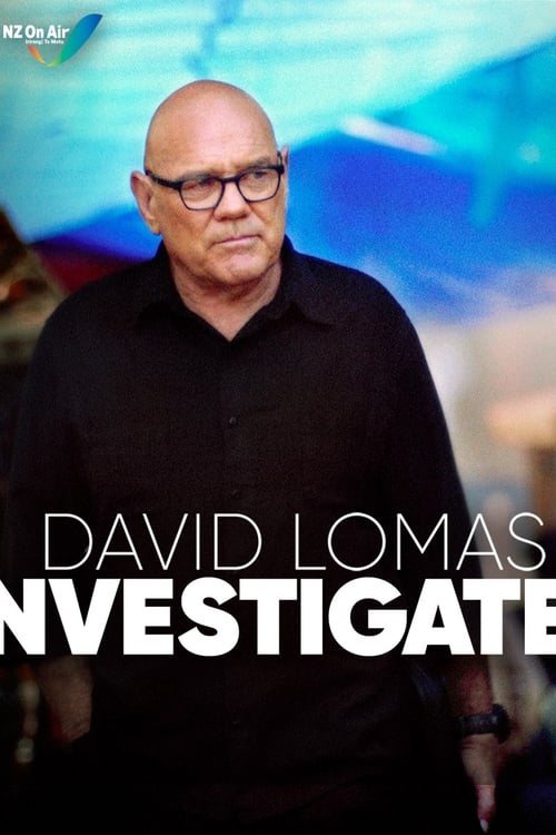 Poster David Lomas Investigates