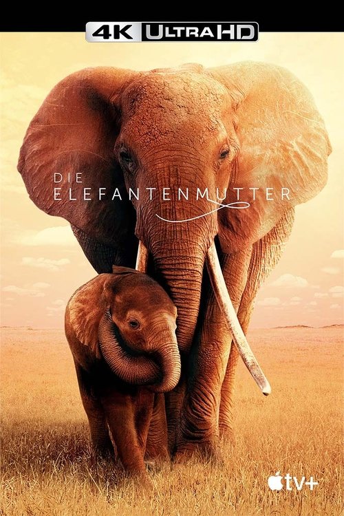 Die Elefantenmutter
