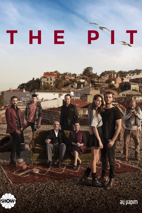 The Pit (Çukur)