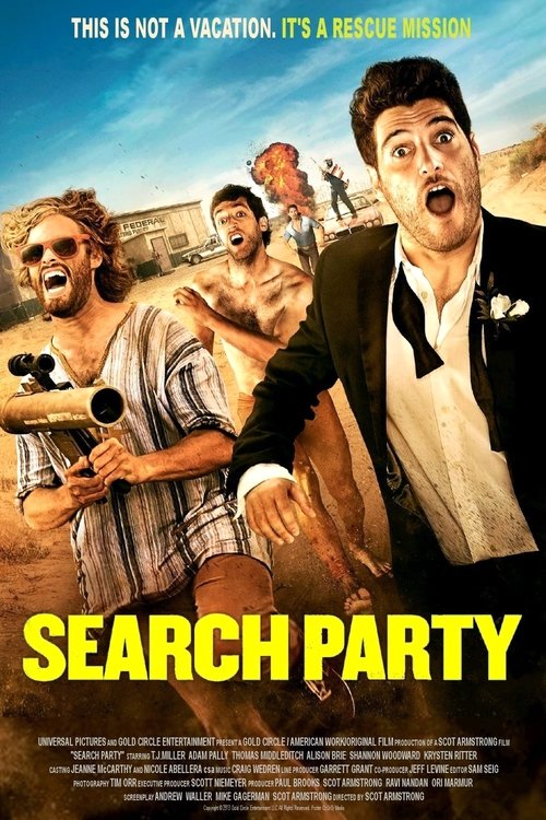 Largescale poster for Search Party