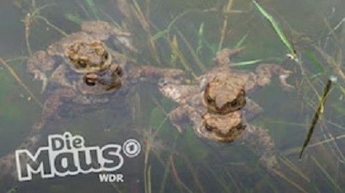 Image de l'épisode 12