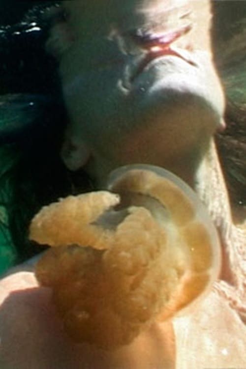 Jellyfish Lake 2002