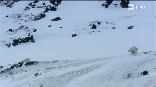 Image de l'épisode 7