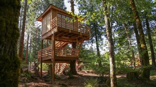 Poster della serie Treehouse Masters